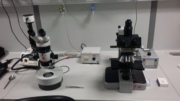 Optical Microscope with Camera Magnification (max. 800)