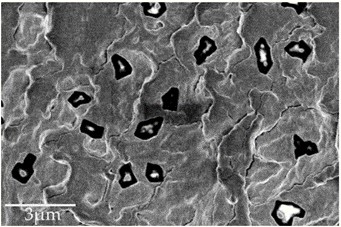 Electron microscope image of a solid crystal suspension